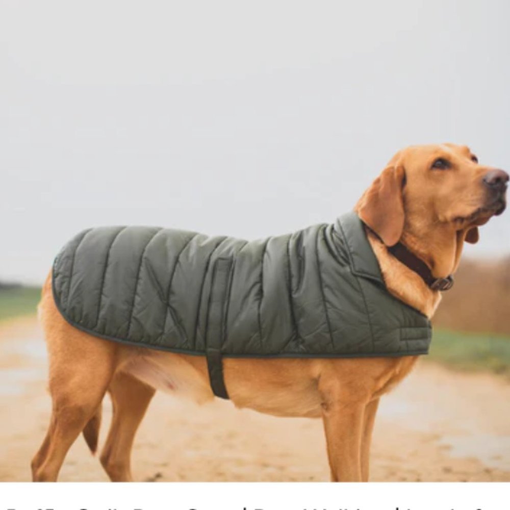 Barbour Baffle Quilt Dog Coat in Olive MSRP$80 Lightweight & Waterproof